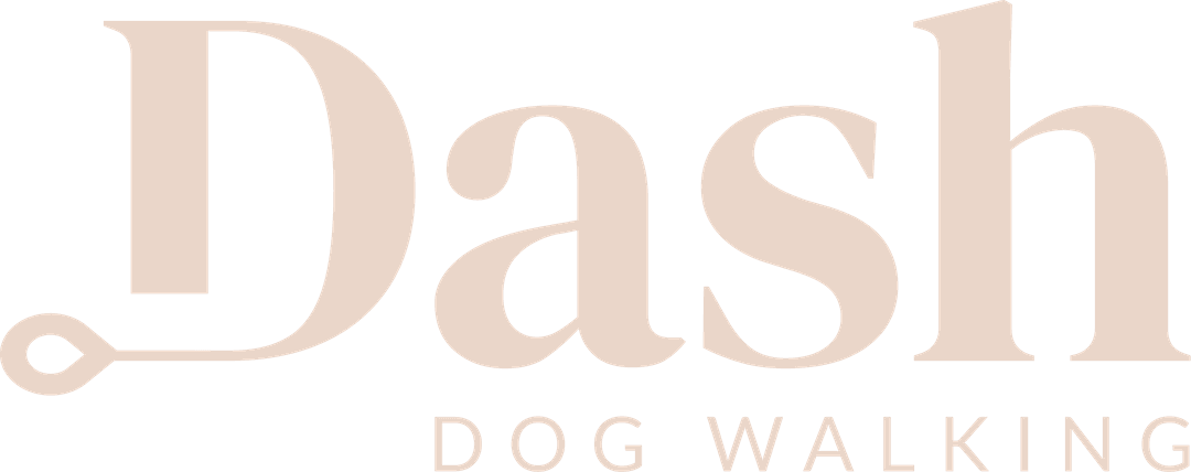DASH Dog Walking