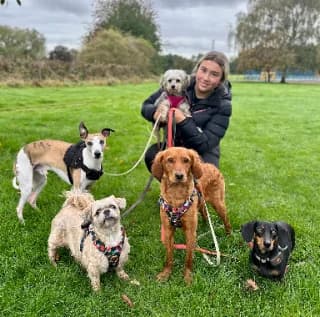 Lauren, Dog Walker and Pack Leader