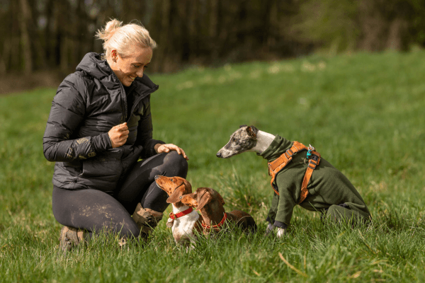 Madeleine crouched, giving treats to a group of dogs